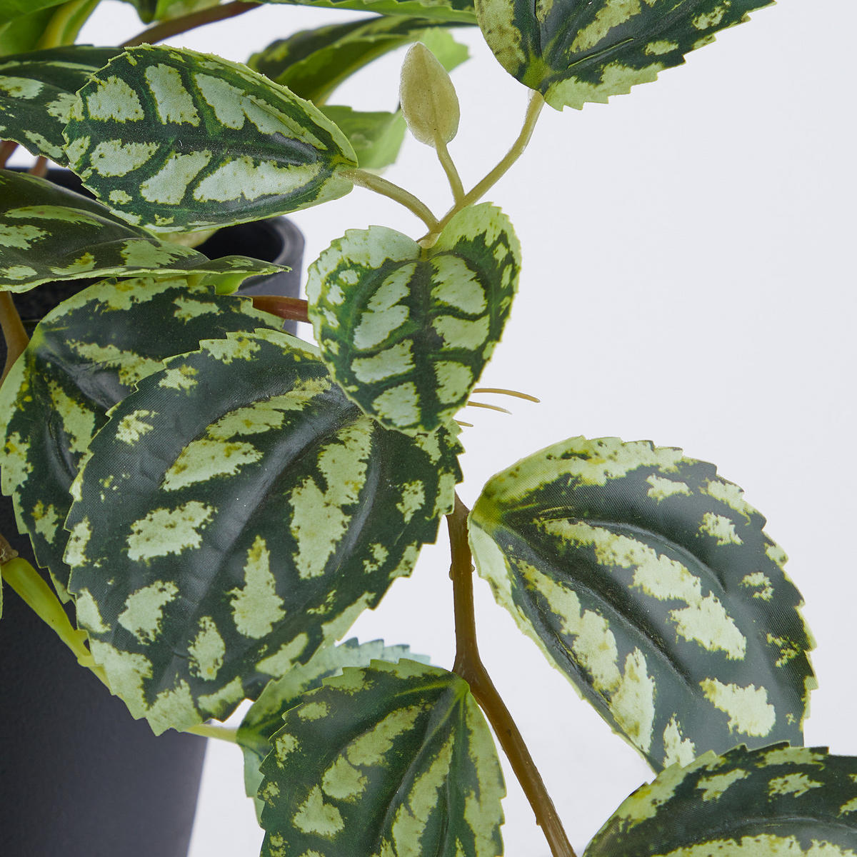 KUNSTBLUME Florista Plea Cadariiere - Grün, Kunststoff (44cm) - Butlers