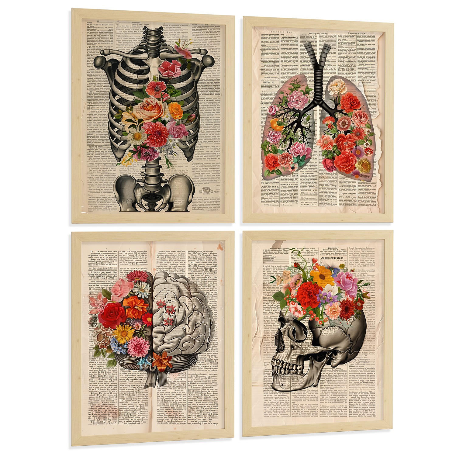 POSTER Set aus 4 Vintage Anatomie und Wandbilder mit Rippen Wirbelsäule Lungen Luftröhre Bronchien Gehirn und Schädel Größe Rahmenlos A3 - Klar, Papier (29.7/42/3cm) - Nacnic