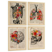 POSTER Set aus 4 Vintage Anatomie und Wandbilder mit Rippen Wirbelsäule Lungen Luftröhre Bronchien Gehirn und Schädel Größe Rahmenlos A3 - Klar, Papier (29.7/42/3cm) - Nacnic