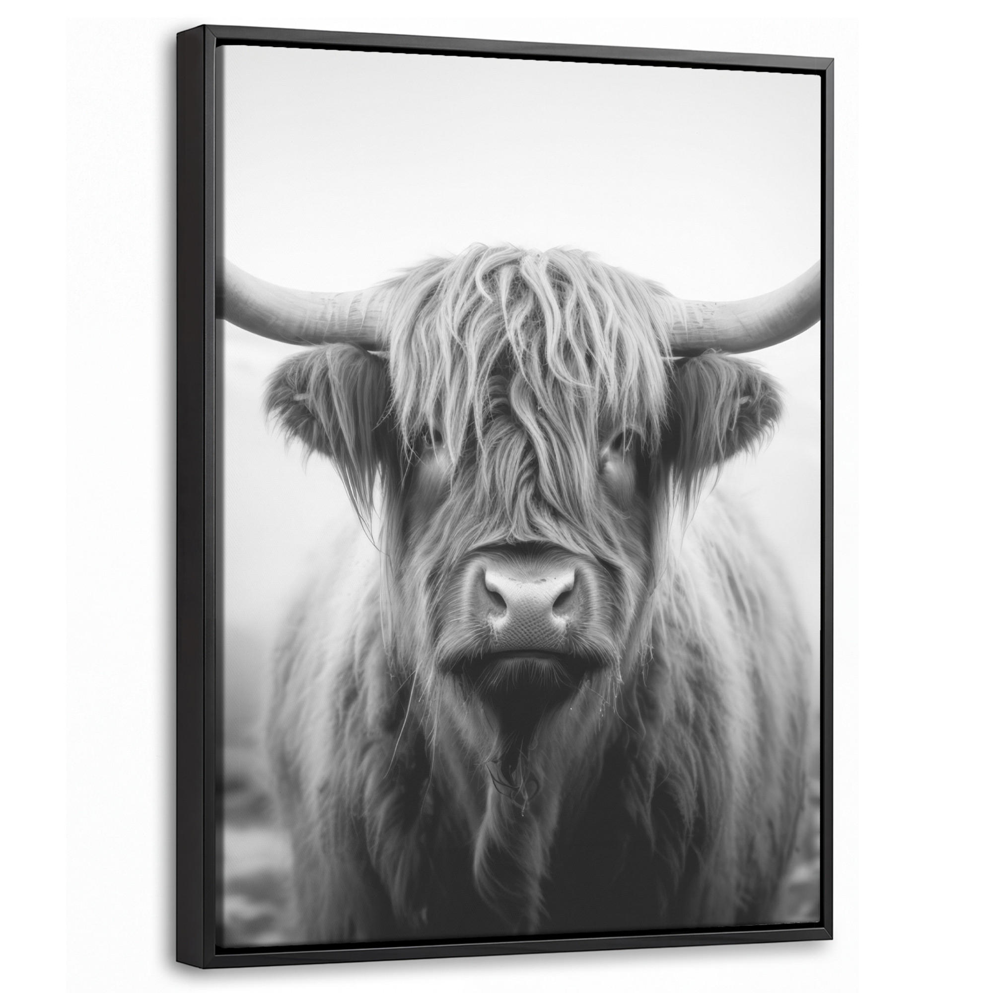 LEINWAND Bilder mit Rahmen - Schottischer Highlander - Nebel - Schwarz - Weiß - 30x40 - Grau, Textil (30/40cm) - MuchoWow