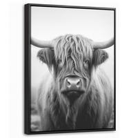 LEINWAND Bilder mit Rahmen - Schottischer Highlander - Nebel - Schwarz - Weiß - 30x40 - Grau, Textil (30/40cm) - MuchoWow