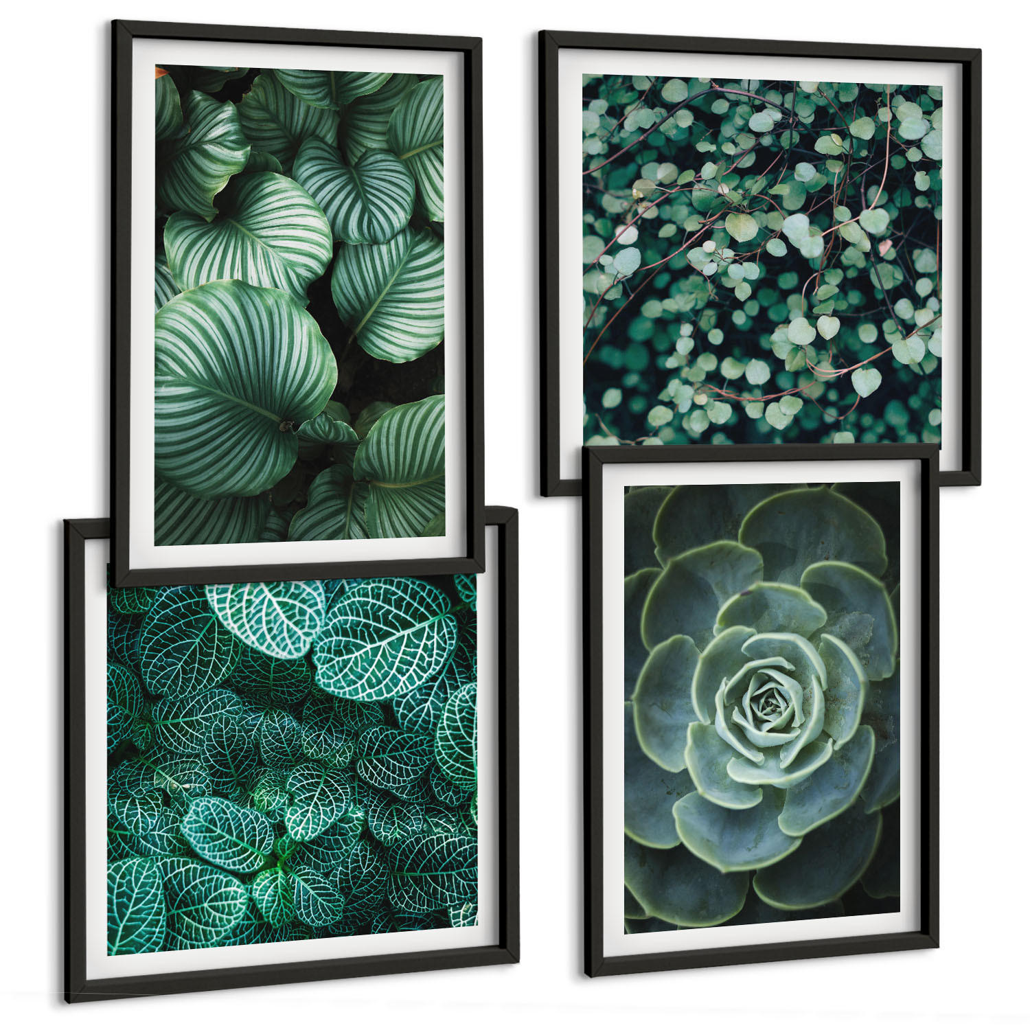 BILDER SET 4er Set - 50x50 cm & 40x60 cm Schwarzer Rahmen - Grüne, saftige Blätter - Schwarz, Kunststoff (50/50cm) - TULUP