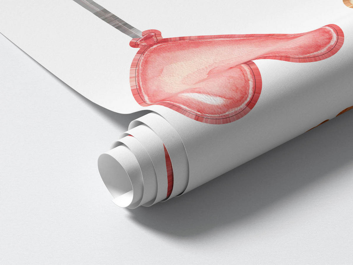 WANDAUFKLEBER 100x150cm - Tiere mit Luftballons - Multicolor, Kunststoff (100/150/0.1cm) - Wallfluent