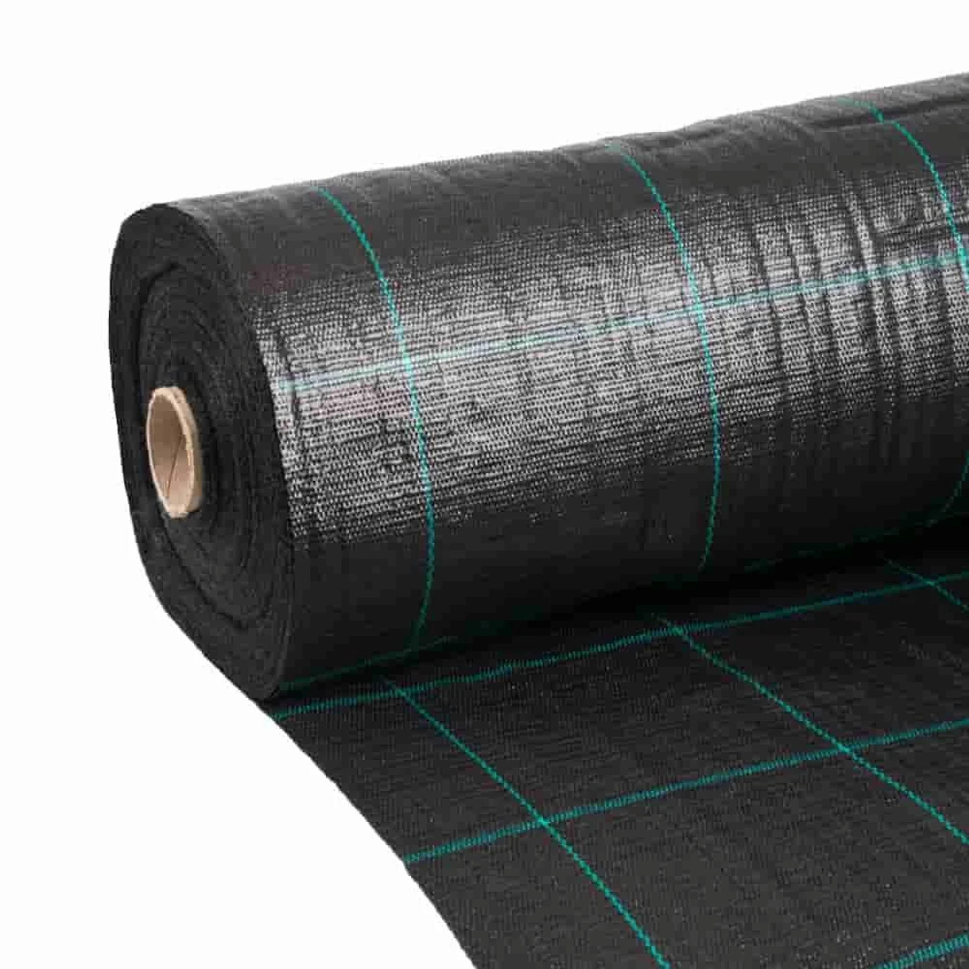 Boni-Shop Unkrautvlies Ahorn 2x1x90 cm