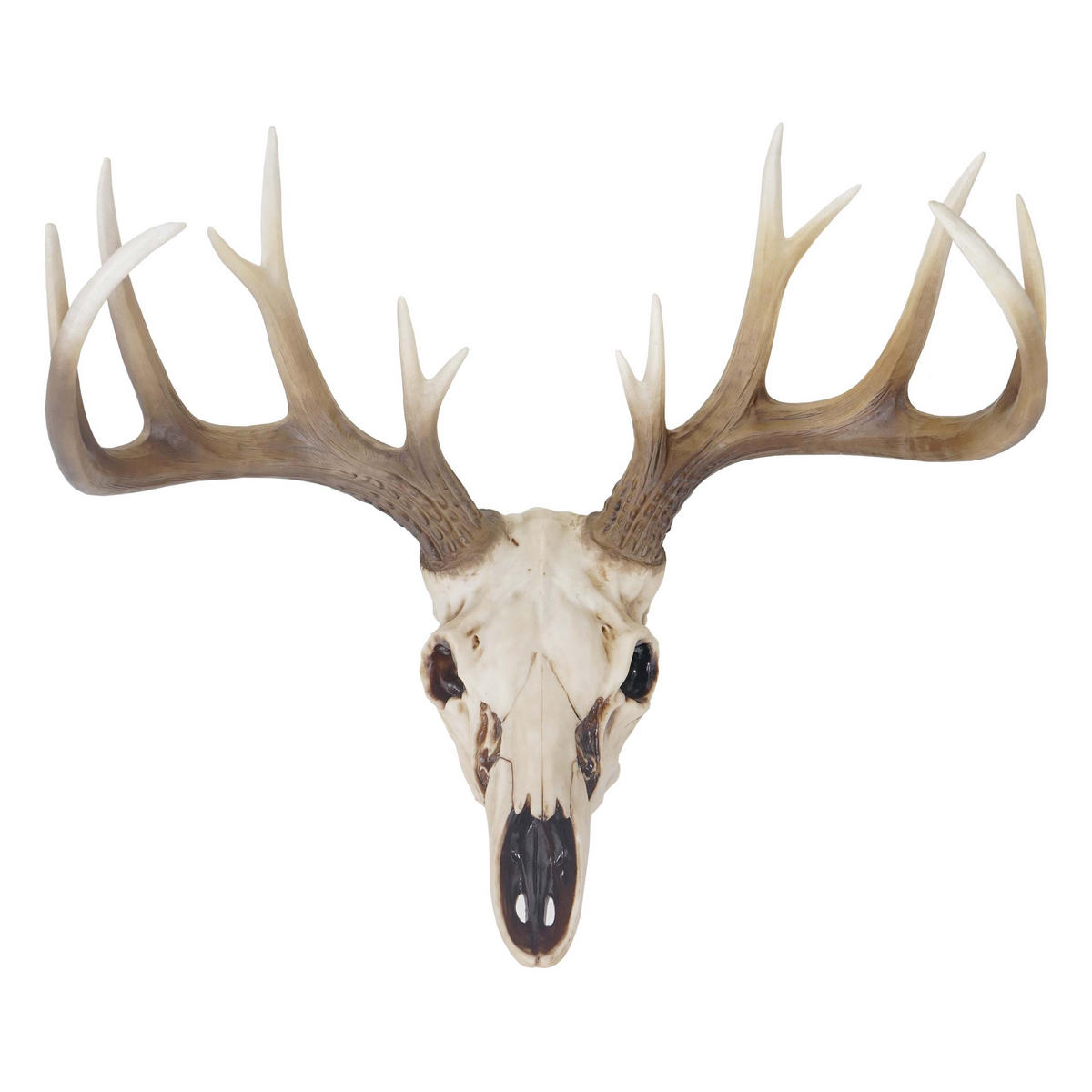 DEKO SCHÄDEL HIRSCHGEWEIH Beige - Beige, Stein (58/40/42cm) - MCW