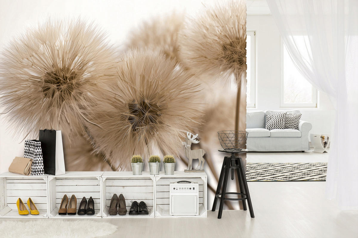 FOTOTAPETE Löwenzahn Boho Braun 300x210 cm - Multicolor, Papier (300/210cm) - Wallarena