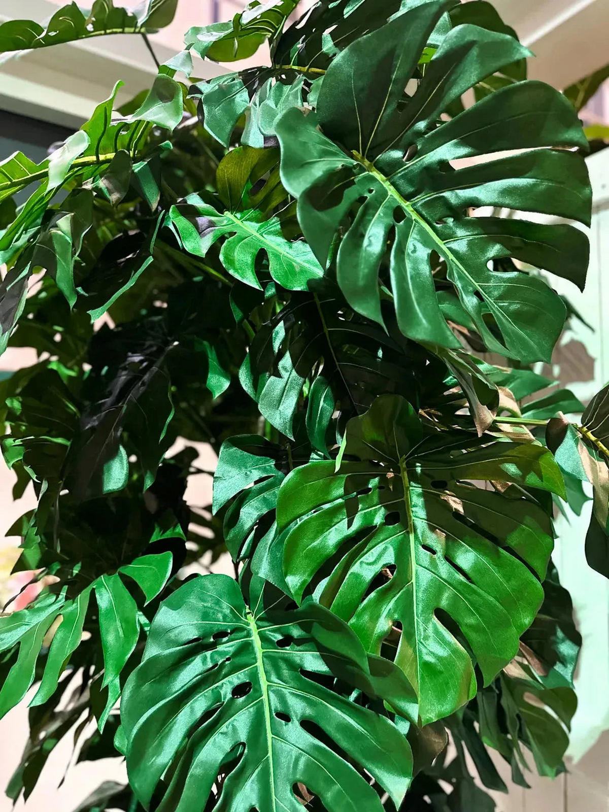 KUNSTBAUM Künstliche Monstera - Chris 280 cm - Grün, Kunststoff (280cm) - aplanta