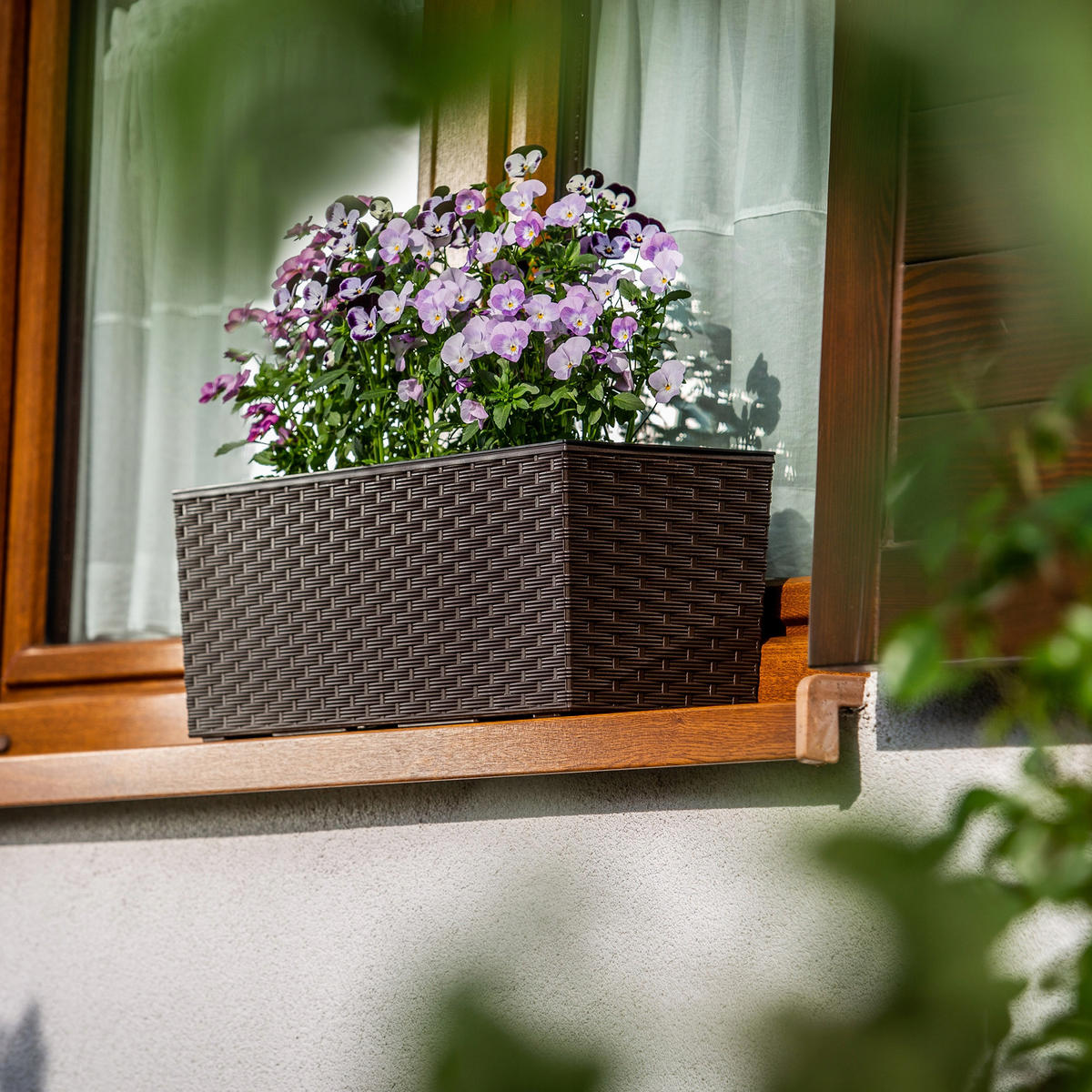 BLUMENKASTEN mit Einsatz 56 cm, Mokka - Mokka, Kunststoff - KADAX