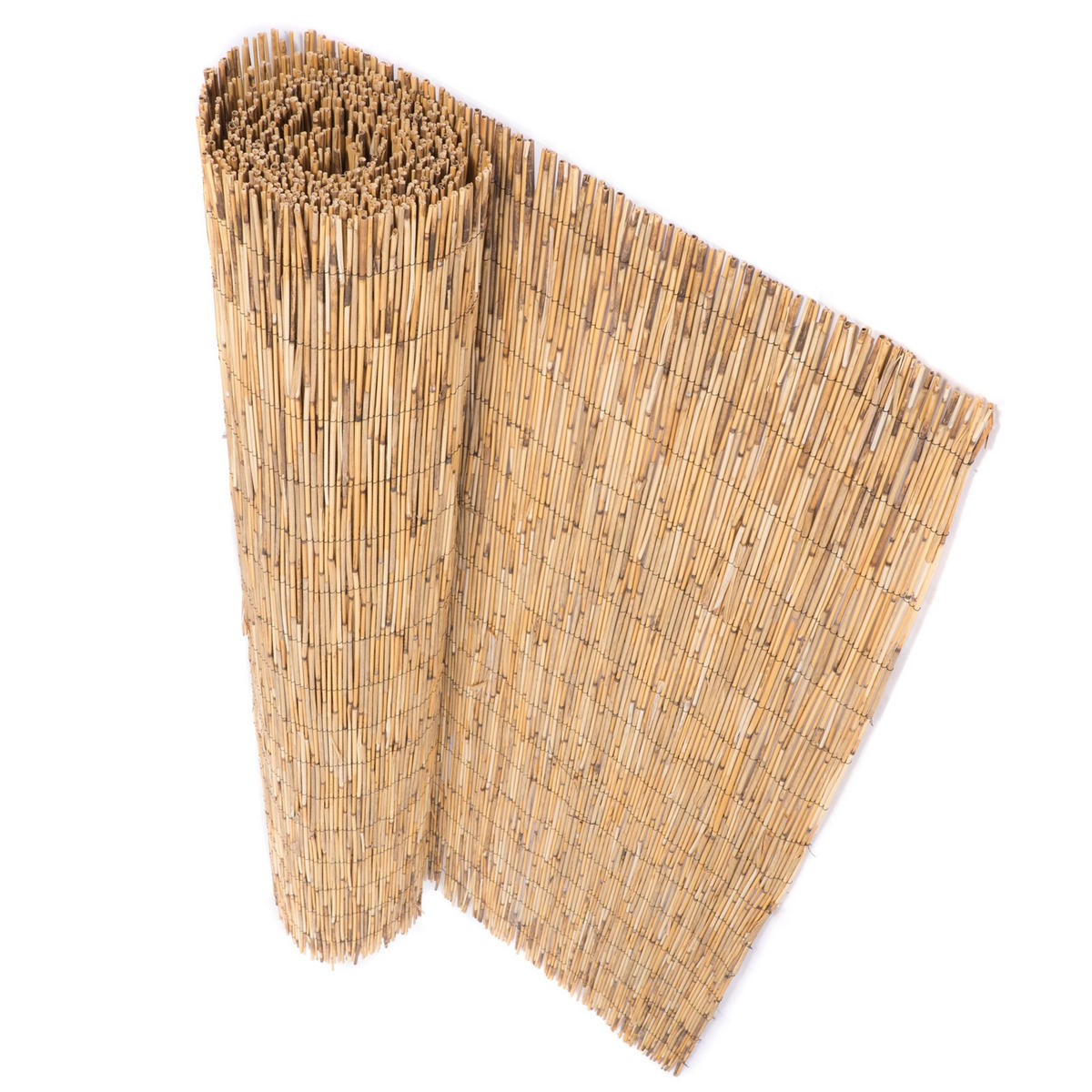 SICHTSCHUTZMATTE Aroa 60x160 cm, Schilfrohr naturfarben - Naturfarben, Naturmaterialien (600/160cm) - DESIGN DELIGHTS