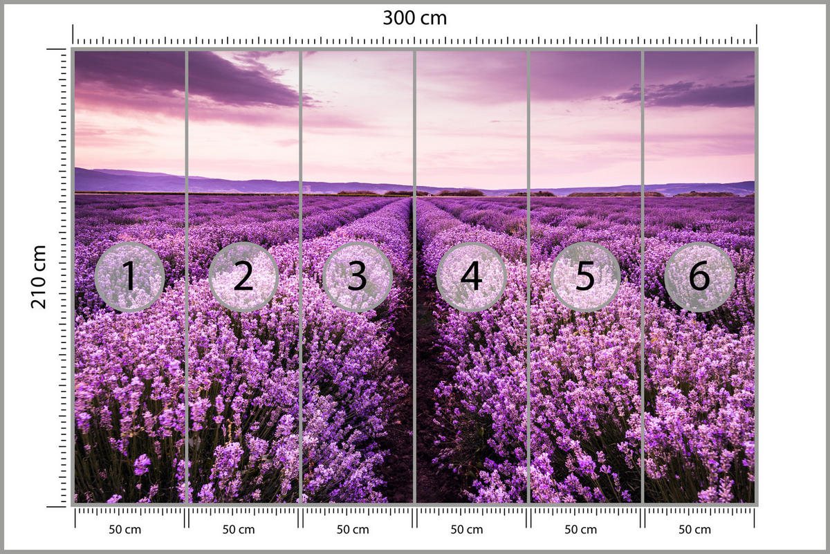 FOTOTAPETE für Schlafzimmer Lila Lavendel Wiese Harmonisch Romantisch 300x210 - Violett/Lila, Papier (300/210cm) - Muralo