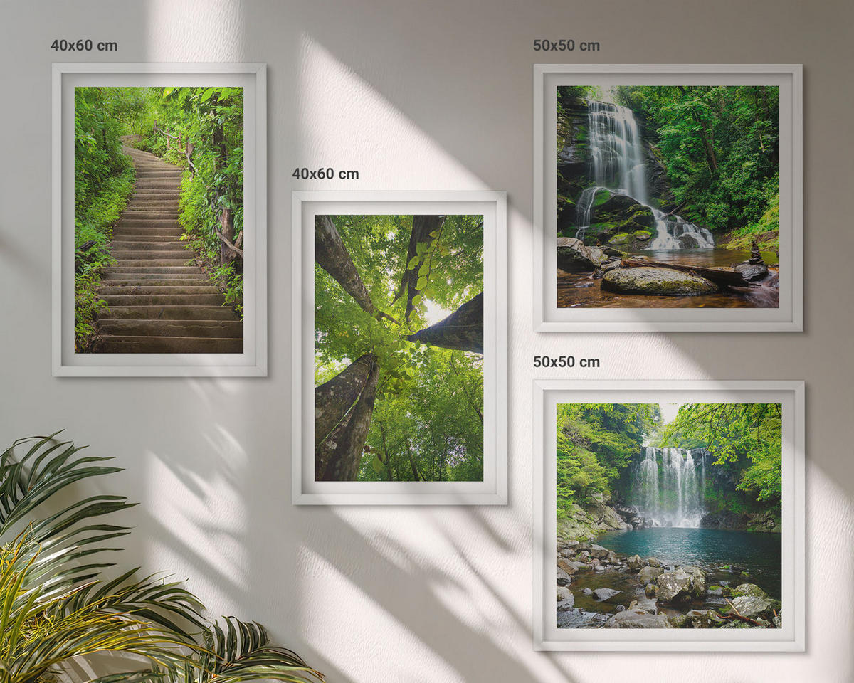 WANDBILDER 4er-Set - 50x50 cm & 40x60 cm Weißer Rahmen - Pfad Wald Wasserfall Vegetation - Weiß, Kunststoff (50/50cm) - ArtPrintCave