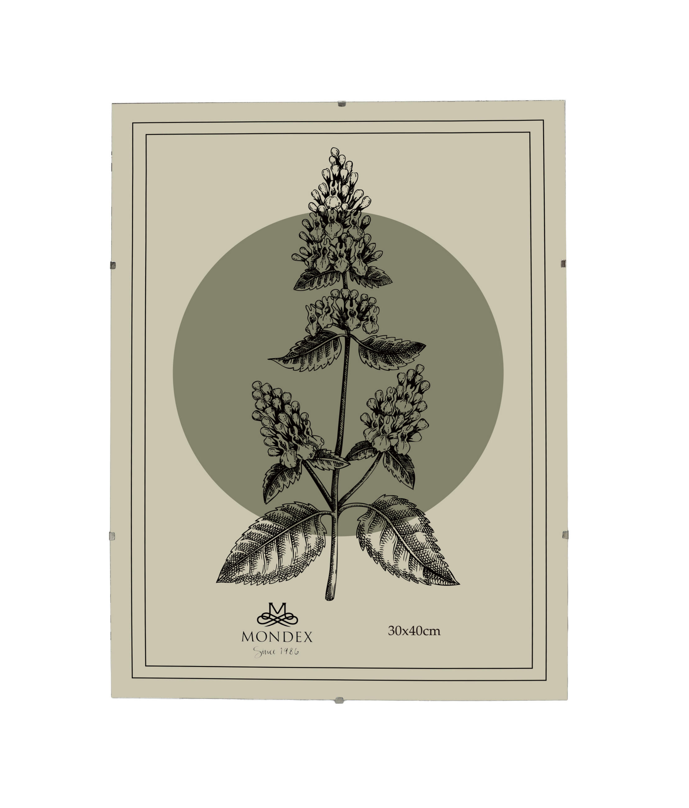 BILDERRAHMEN Adi Transparent 30x40x0.3 cm Kunststoff - Transparent, Kunststoff (0.3/40/30cm) - Mondex