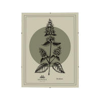 BILDERRAHMEN Adi Transparent 30x40x0.3 cm Kunststoff - Transparent, Kunststoff (0.3/40/30cm) - Mondex