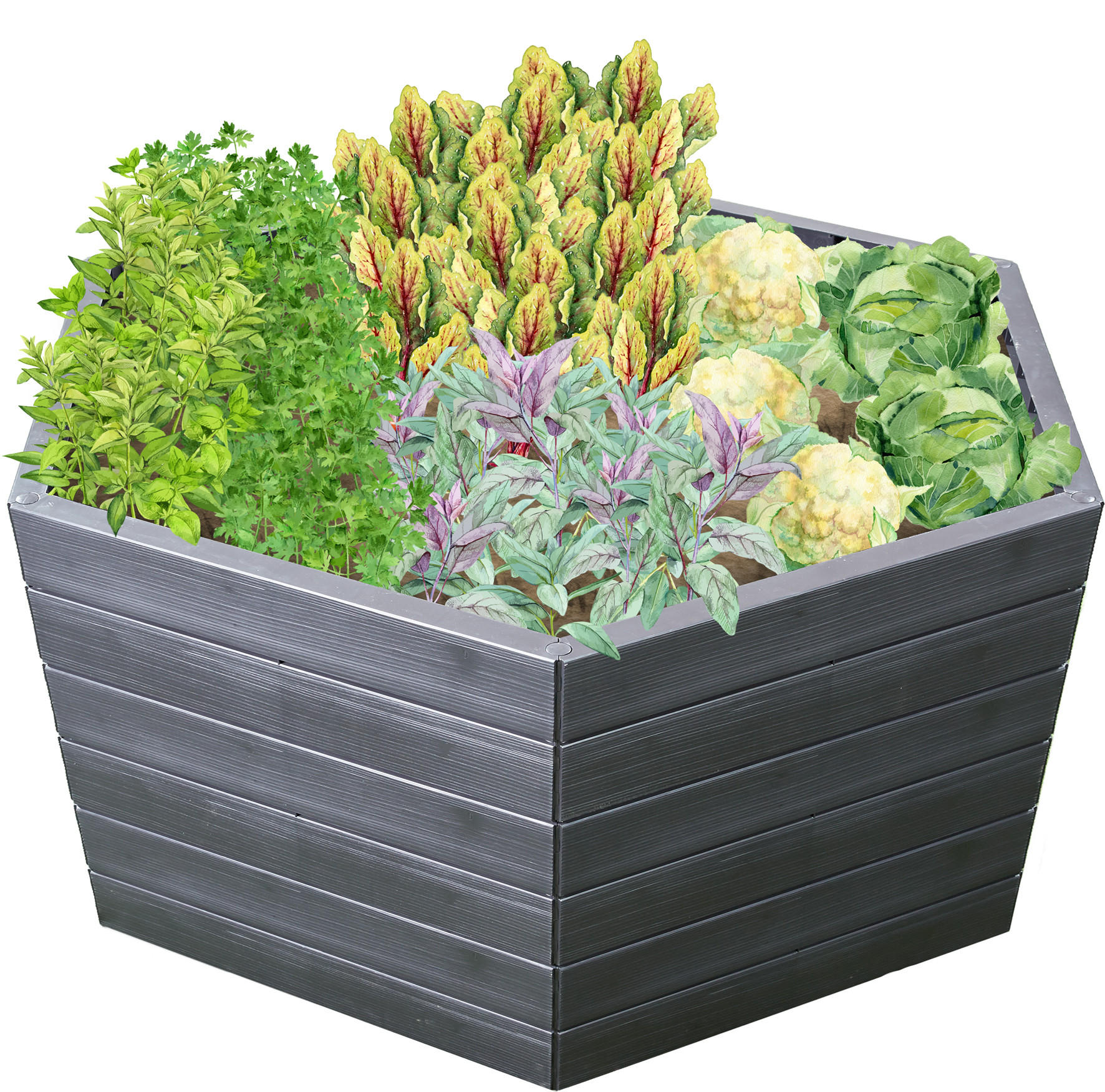 HOCHBEET XL 75, inkl. Wassersparsystem - Braun, Kunststoff (145/75/145cm) - GARANTIA