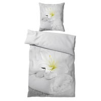 BETTWÄSCHE 2-teilig Good Feeling - Grau, Naturmaterialien (135/200cm) - Sanilo