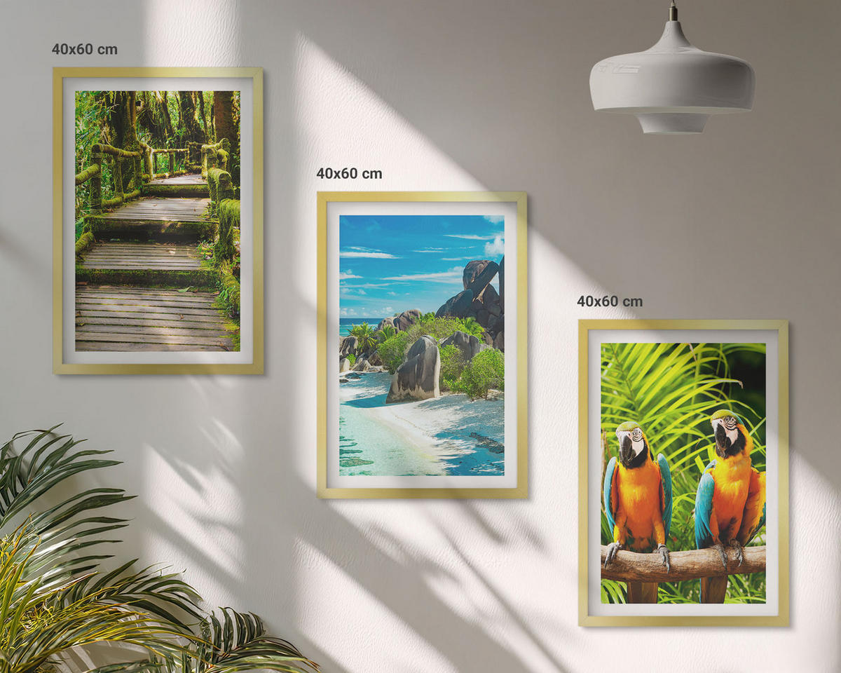 WANDBILDER 3er Set - 40x60 cm Goldrahmen - Tropischer Wald Papageienwasserfall - Goldfarben, Kunststoff (40/60cm) - ArtPrintCave