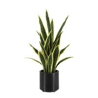 KUNSTPFLANZE Künstlicher Bogenhanf - Carlos 75 cm - Grün, Kunststoff (75cm) - aplanta