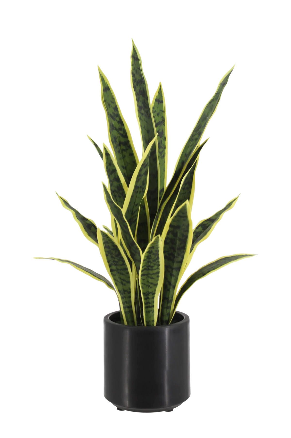 KUNSTPFLANZE Künstlicher Bogenhanf - Carlos 75 cm - Grün, Kunststoff (75cm) - aplanta