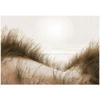 FOTOTAPETE Strand Meer Beige 350x250 cm - Multicolor, Papier (350/250cm) - Wallarena