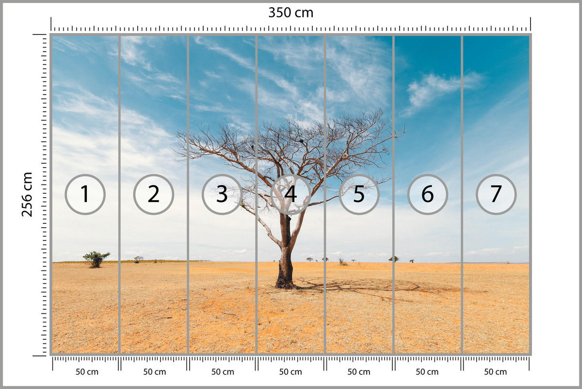 FOTOTAPETE für Wohnzimmer Trockener Baum Wüste Sand 350x256 - Beige/Orange, Papier (350/256cm) - Muralo