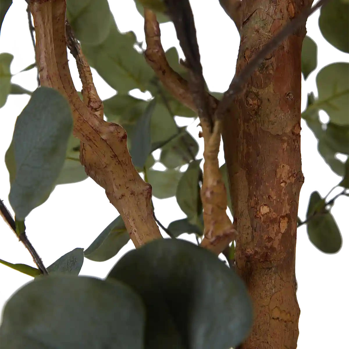 EUCALYPTUS Künstlicher Eucalyptus Baum - Parla 180 cm - Grün, Kunststoff (180cm) - aplanta