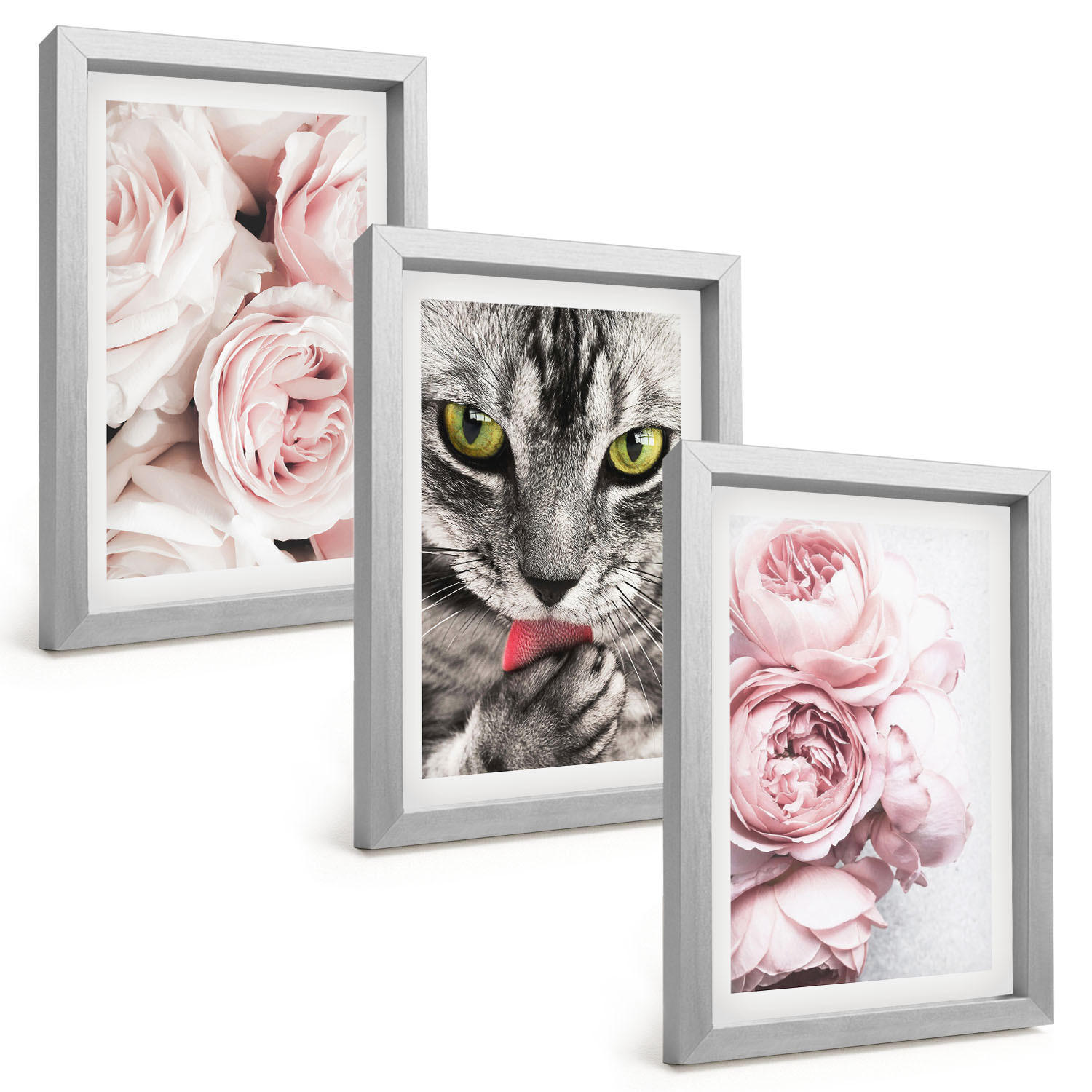 BILDER SET 3er Set - 20x30 cm Silberner Rahmen - Katze in rosa Blumen - Silberfarben, Kunststoff (20/30cm) - TULUP