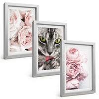 BILDER SET 3er Set - 20x30 cm Silberner Rahmen - Katze in rosa Blumen - Silberfarben, Kunststoff (20/30cm) - TULUP