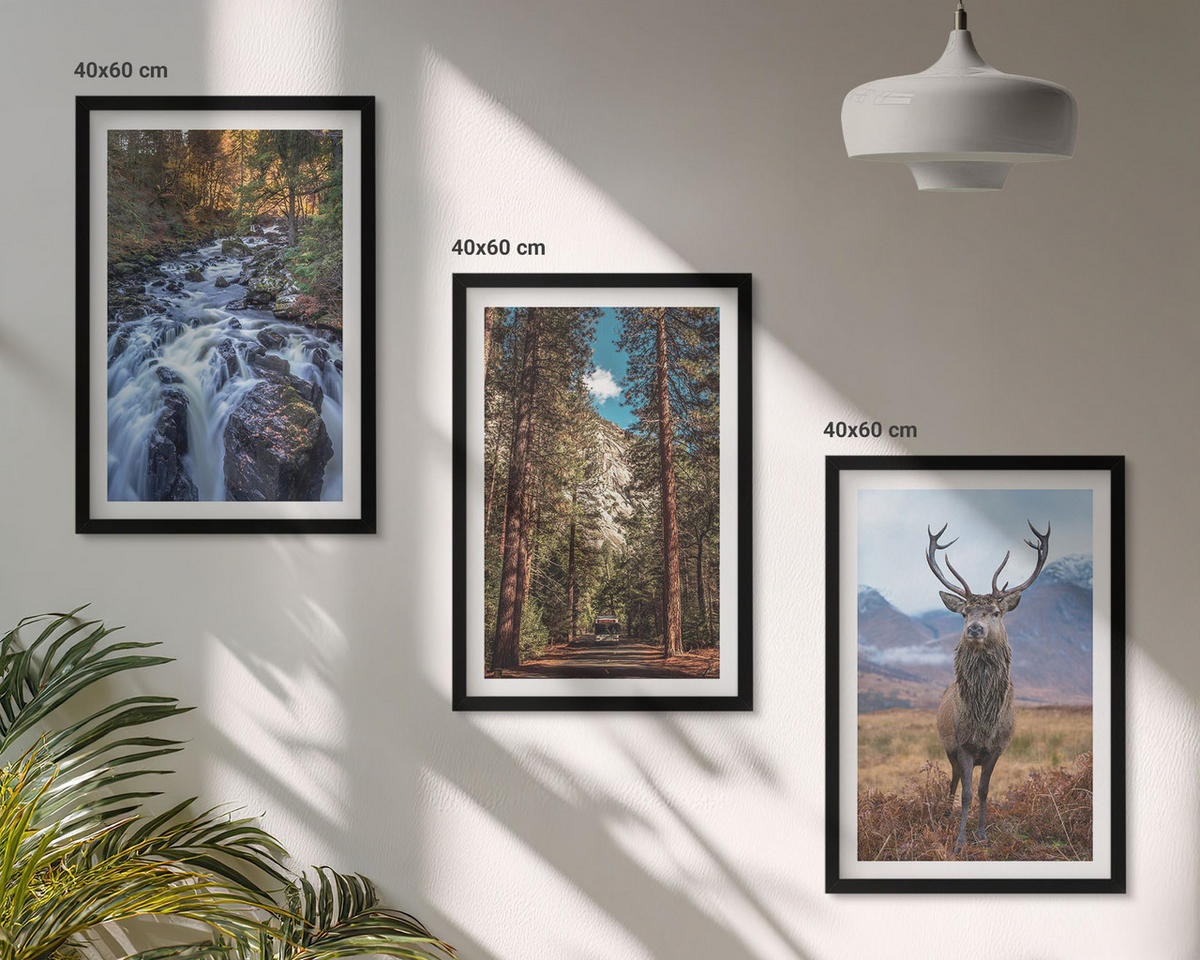 WANDBILDER 3er-Set - 40x60 cm Schwarzer Rahmen - Wasserfall Wald Berge Hirsch Natur - Schwarz, Kunststoff (40/60cm) - ArtPrintCave
