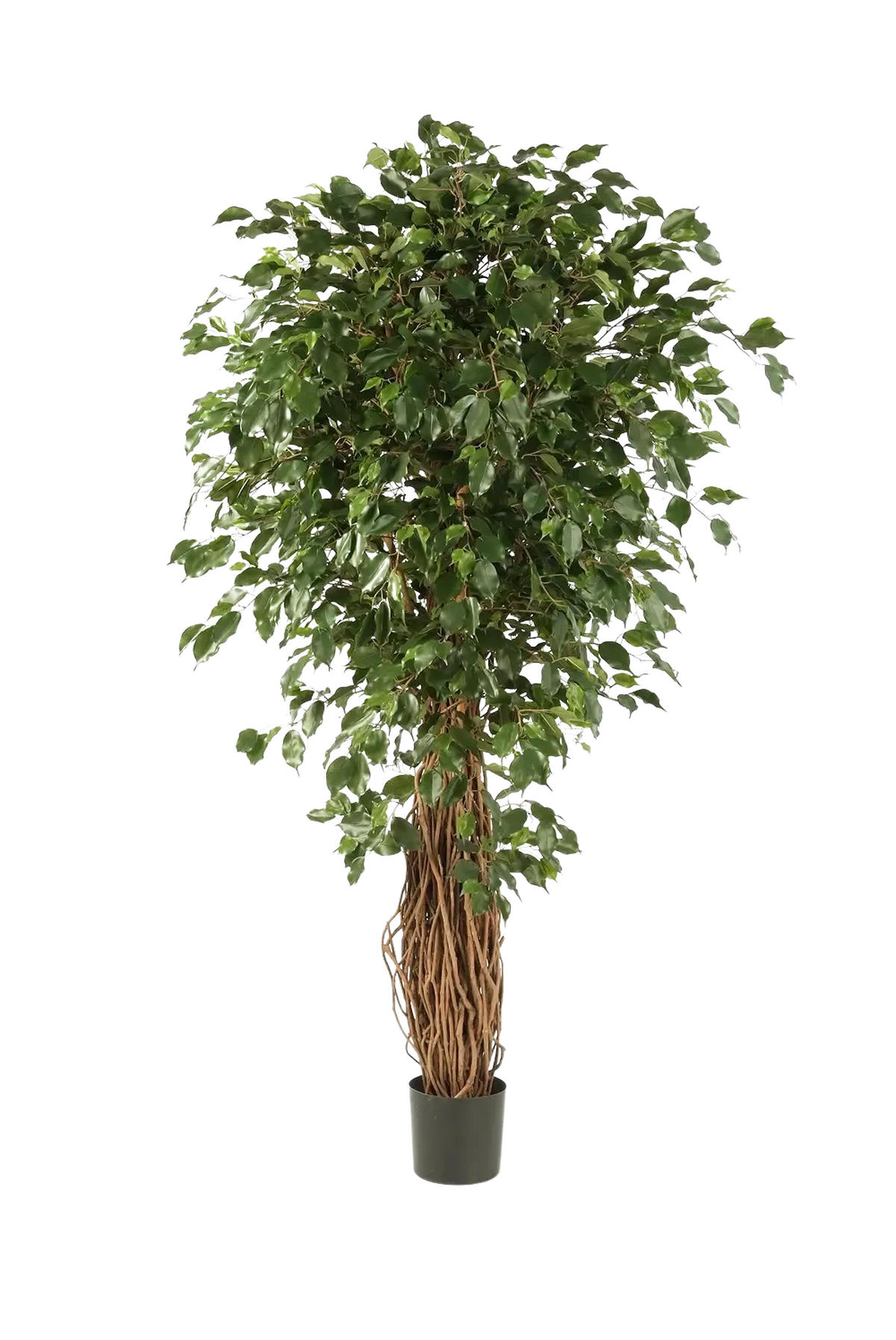 KUNSTBAUM Künstlicher Ficus Liana - Josefine 210 cm - Grün, Kunststoff (210cm) - aplanta