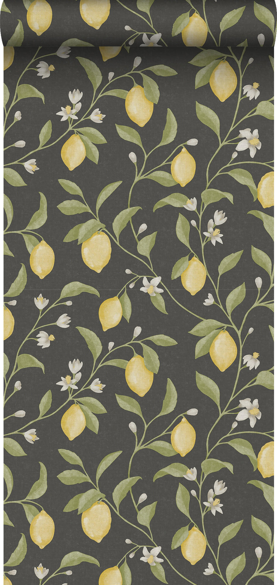 TAPETE Obst 53 cm x 10 m - Schwarz, Papier (53/1000cm) - Sanders & Sanders