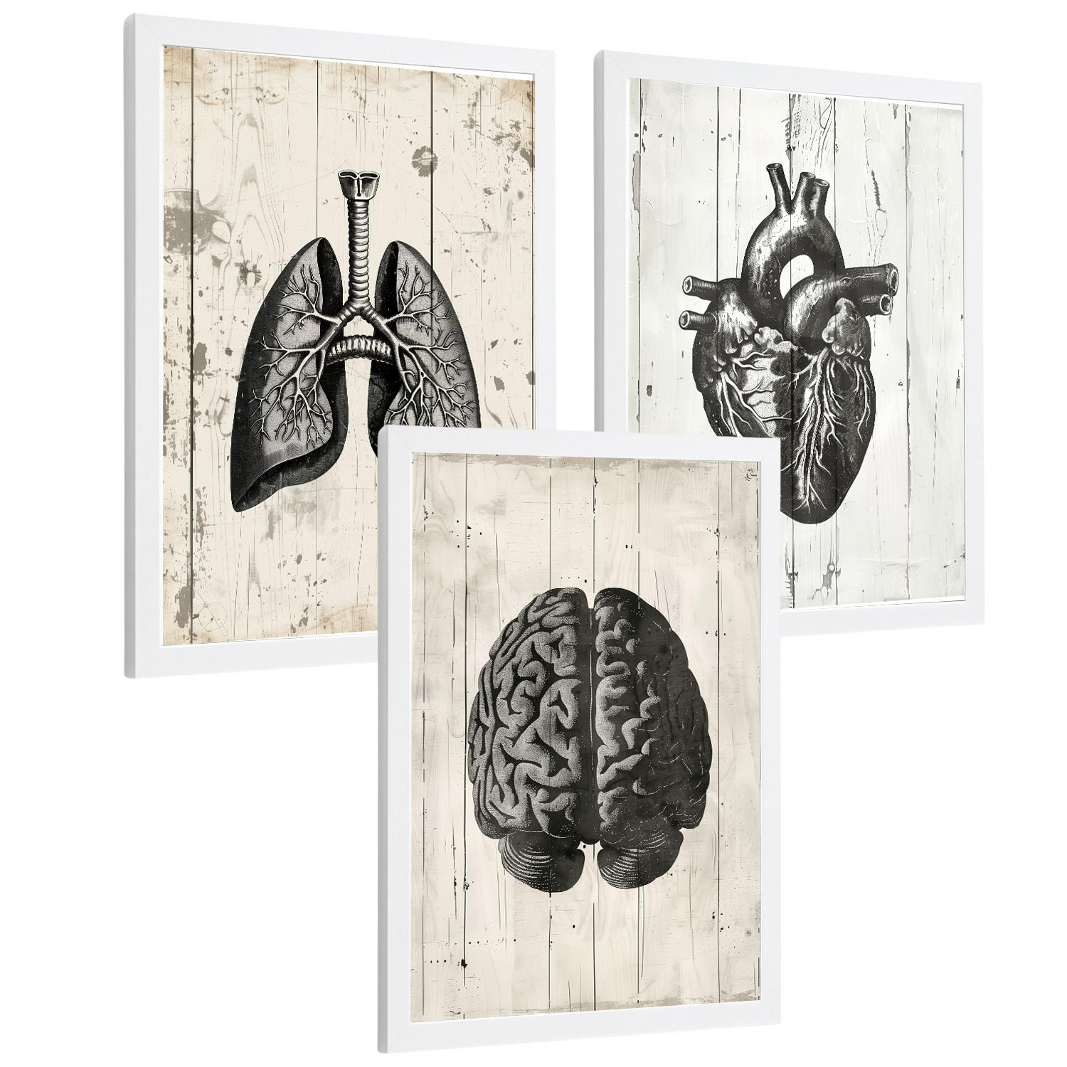 POSTER Set aus 3 Anatomie Mensch Drucke und mit Gehirn Herz Lungen Luftröhre Bronchien Industrielles Schwarz Weiß Design Größe Weißer Rahmen A3 - Weiß, Papier (29.7/42/3cm) - Nacnic