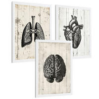 POSTER Set aus 3 Anatomie Mensch Drucke und mit Gehirn Herz Lungen Luftröhre Bronchien Industrielles Schwarz Weiß Design Größe Weißer Rahmen A3 - Weiß, Papier (29.7/42/3cm) - Nacnic