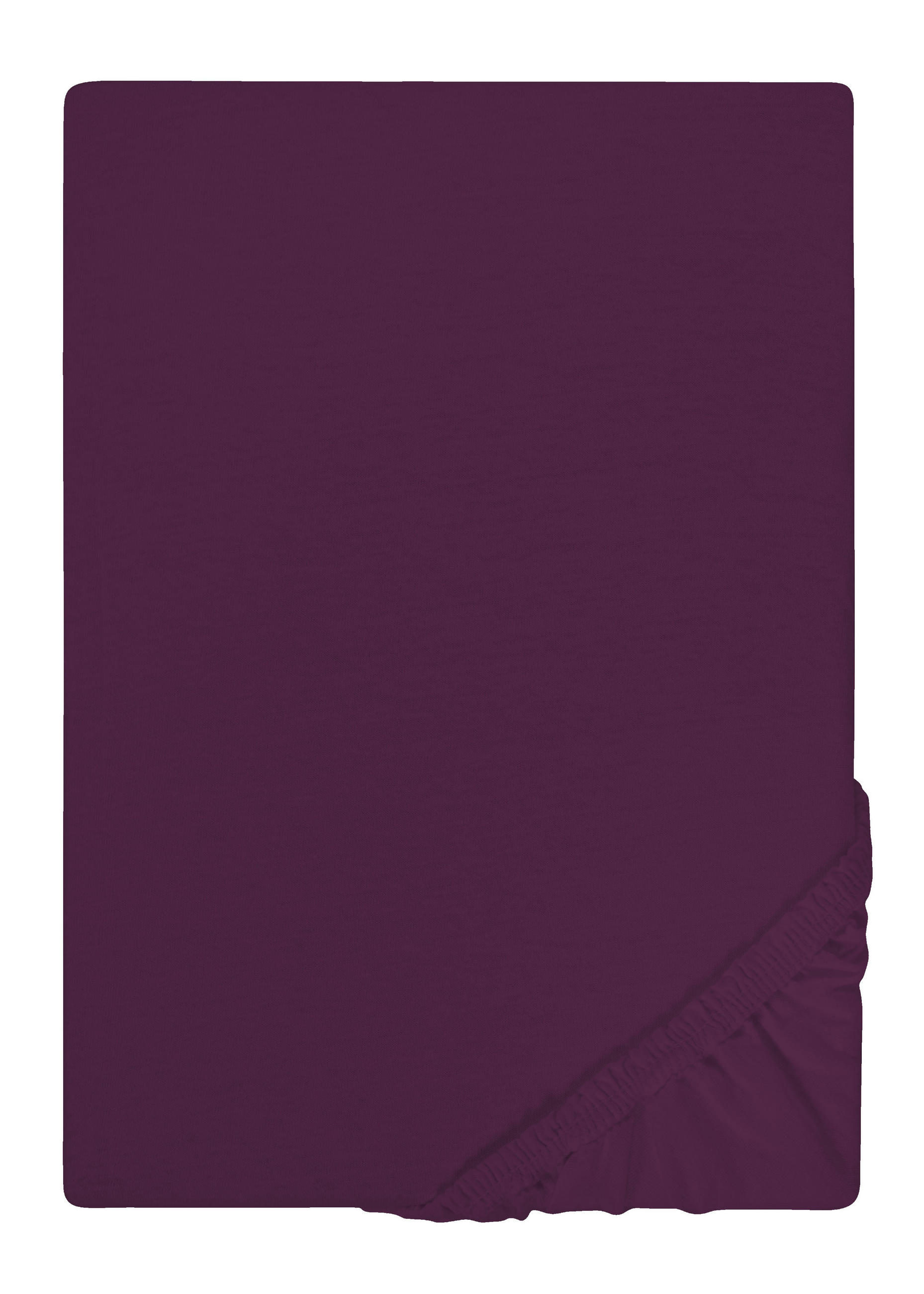 Castell Spannbetttuch Violett 160x200 cm