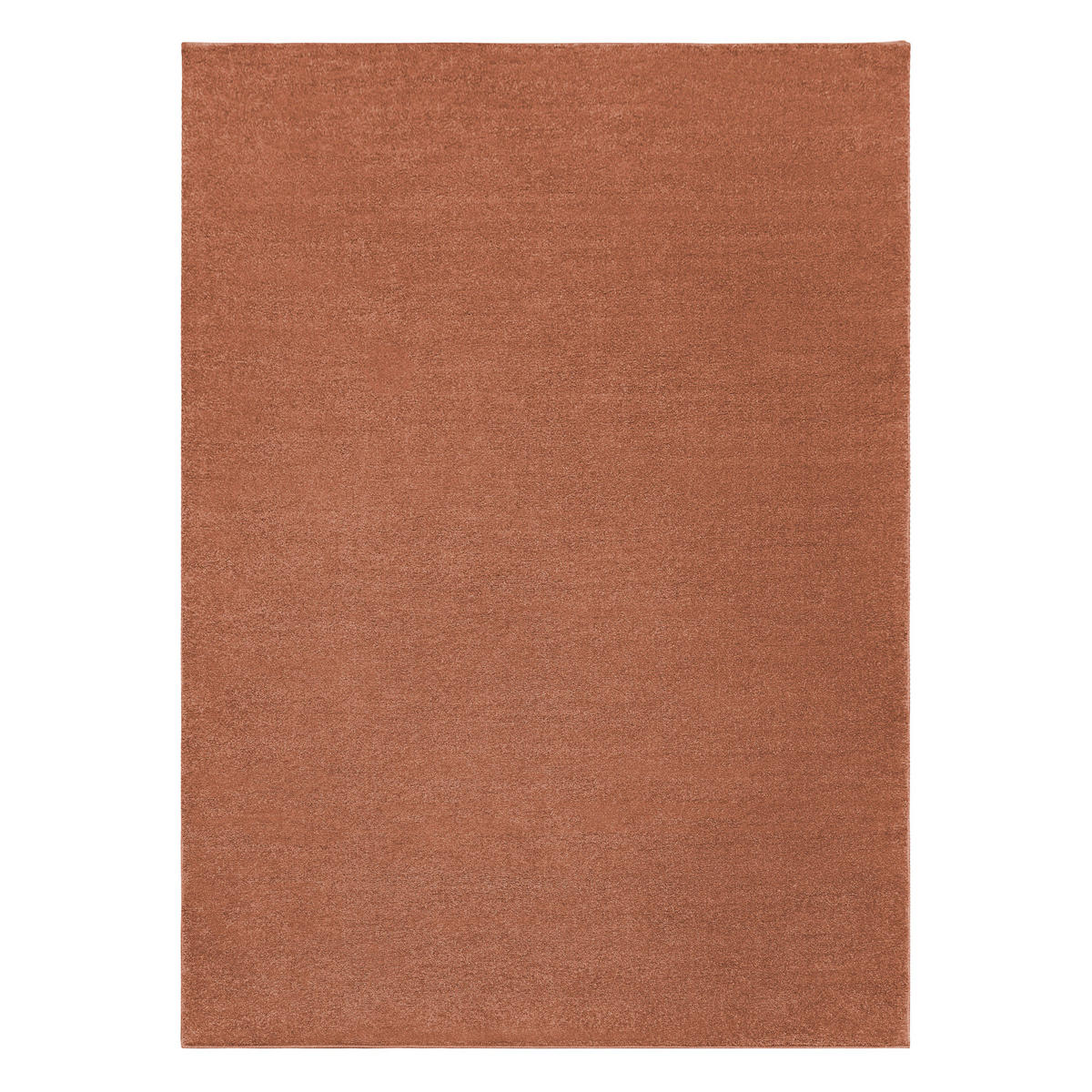 TEPPICH Softy 80/150 cm - Terracotta, Textil (80/150cm) - rugsX