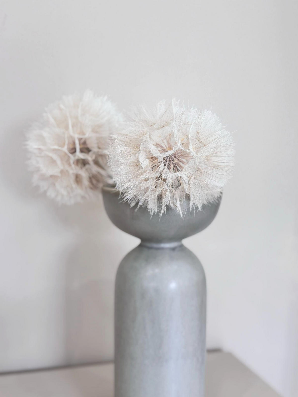 PUSTEBLUME getrocknet einzeln - weiß - Weiß, Naturmaterialien (30cm) - Lykke & You