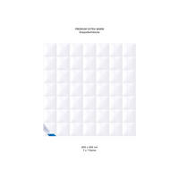 WINTERBETTDECKE PREMIUM Gänsedaunen extra warm - Weiß, Naturmaterialien/Textil (200/200cm) - Böhmerwald