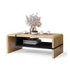 COUCHTISCH rechteckig Eiche Artisan - Schwarz matt 100/60/40 cm - Schwarz/Eiche Artisan, Holzwerkstoff (60/100/40cm) - designimpex