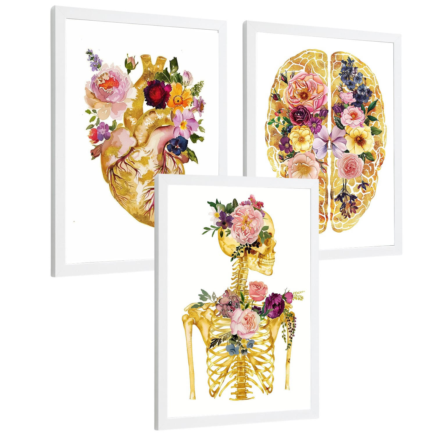 POSTER Set aus 3 Anatomie Mensch Drucke und Wandbilder mit Herz Gehirn und Skelett Goldenes Florales Design Wanddekoration Größe Weißer Rahmen A4 - Weiß, Papier (21/29.7/3cm) - Nacnic