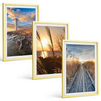 BILDER SET 3er Set - 40x60 cm Goldrahmen - Leuchtturm-Grassteg - Goldfarben, Kunststoff (40/60cm) - TULUP