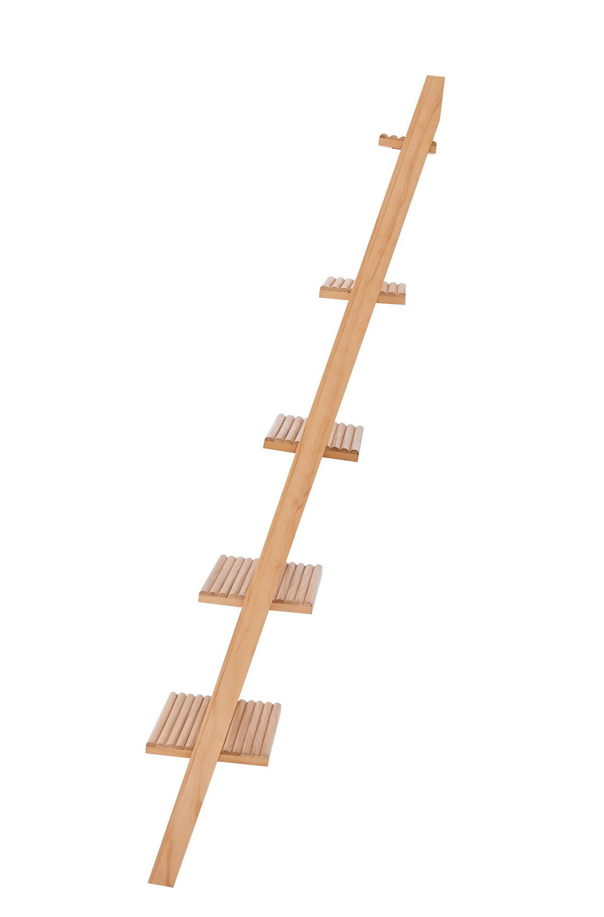 REGAL Braun - Braun, Holz (55.5/157/49cm) - Nordlys