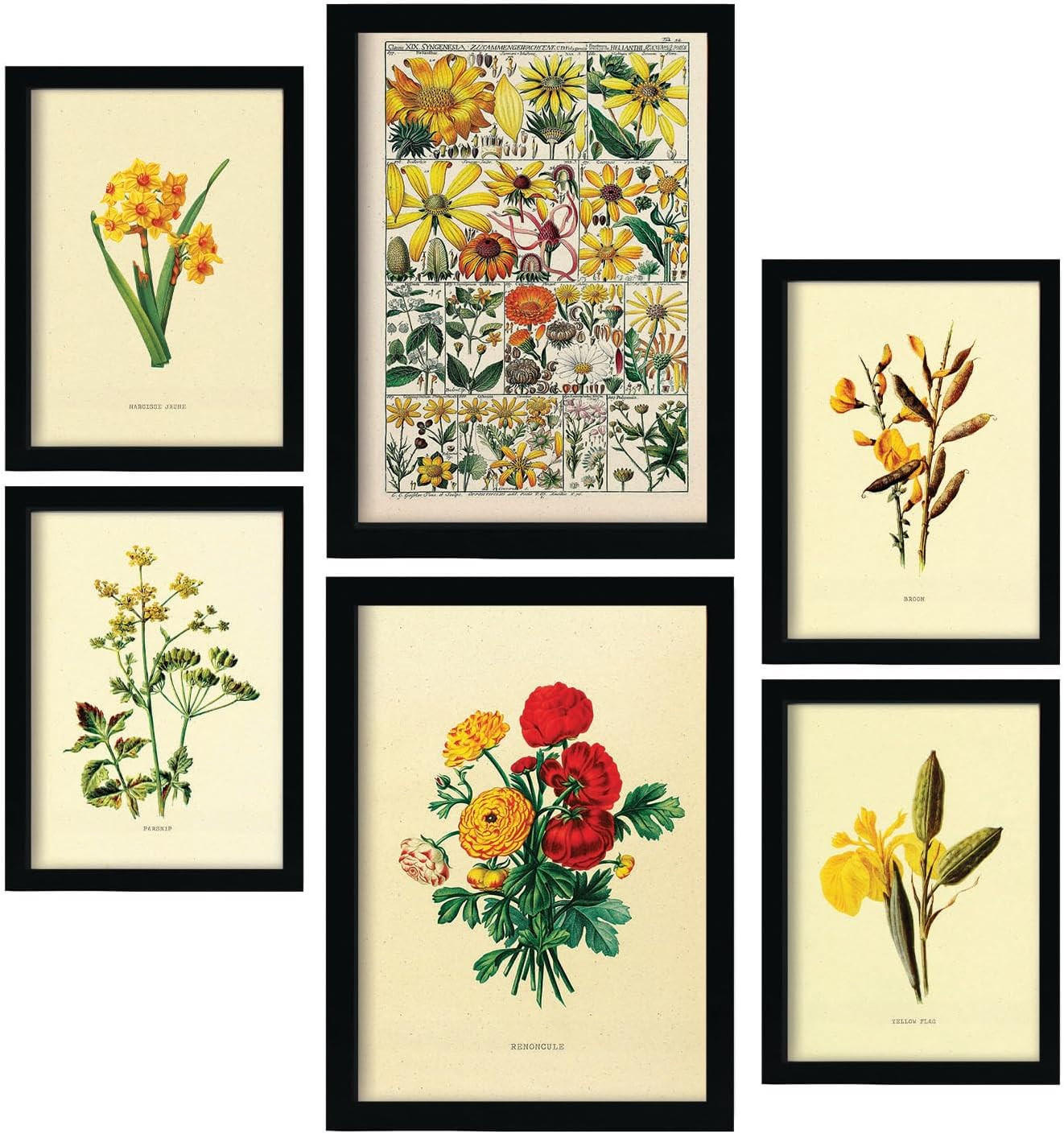 POSTER Set Mit 6 Gelbe Blumen In Vintage A3 & A4 Schwarzer Rahmen - Schwarz, Papier (29/3cm) - Nacnic