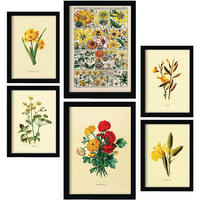 POSTER Set Mit 6 Gelbe Blumen In Vintage A3 & A4 Schwarzer Rahmen - Schwarz, Papier (29/3cm) - Nacnic