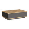 COUCHTISCH mit 2 Türen - Holzfarben & Anthrazit - LOTULA - Anthrazit, Holz (90/60/28.6cm) - Vente-Unique