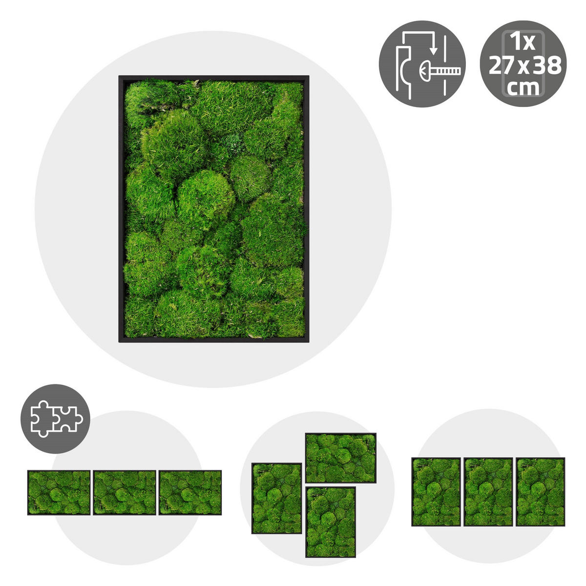 MOOSBILD Rechteck 38 x 27 cm Mooswand Indoor mit Echtem Kugelmoos und Holzrahmen Grün Pflegefrei - Grün, Naturmaterialien (27/38/3.5cm) - ECD-Germany