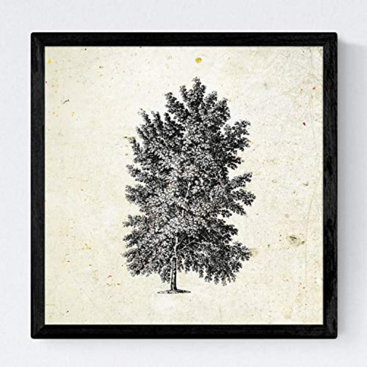 POSTER Set mit 4 Blättern der verschiedene Richtungen Jahrgang Hintergrund 30x30 cm Rahmenlos - Klar, Papier (30/3cm) - Nacnic