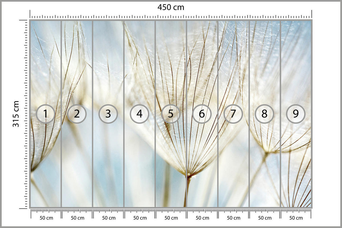 FOTOTAPETE für Wohnzimmer Löwenzahn Pflanzen Natur 450x315 - Blau/Beige, Papier (450/315cm) - Muralo