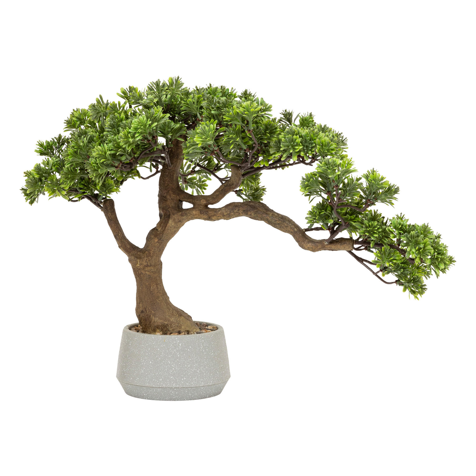 KUNST-BONSAI H Polin 45/32/60 cm - Grün, Kunststoff (60cm) - Atmosphera Createur d´interieur