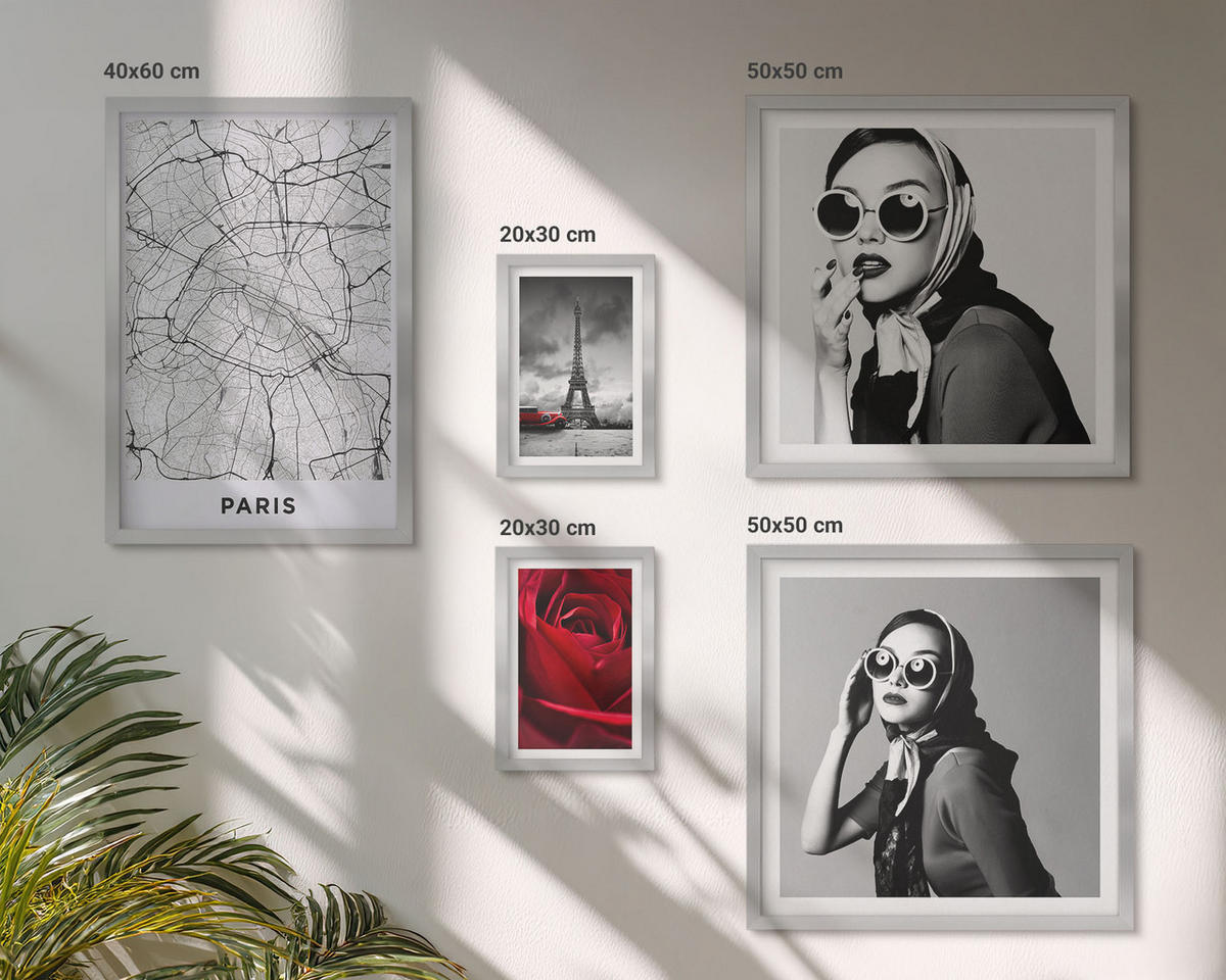 WANDBILDER 5er Set - 50x50 cm & 20x30 cm & 40x60 cm Silberner Rahmen - Pariserin mit Eiffelturmbrille - Silberfarben, Kunststoff (40/60cm) - ArtPrintCave