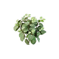 KUNSTPFLANZE Künstliche Fittonia - Fit - Grün, Kunststoff (40cm) - aplanta