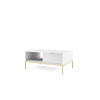 COUCHTISCH NOVA - L104, goldenen Akzenten, 104x68x46 cm Weiß - Goldfarben/Weiß, Holzwerkstoff/Kunststoff (68/104/46cm) - DomoHome